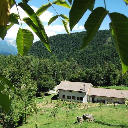 Bosco Delle Rune ..Un Angolo Di Paradiso Platischis 外观 照片
