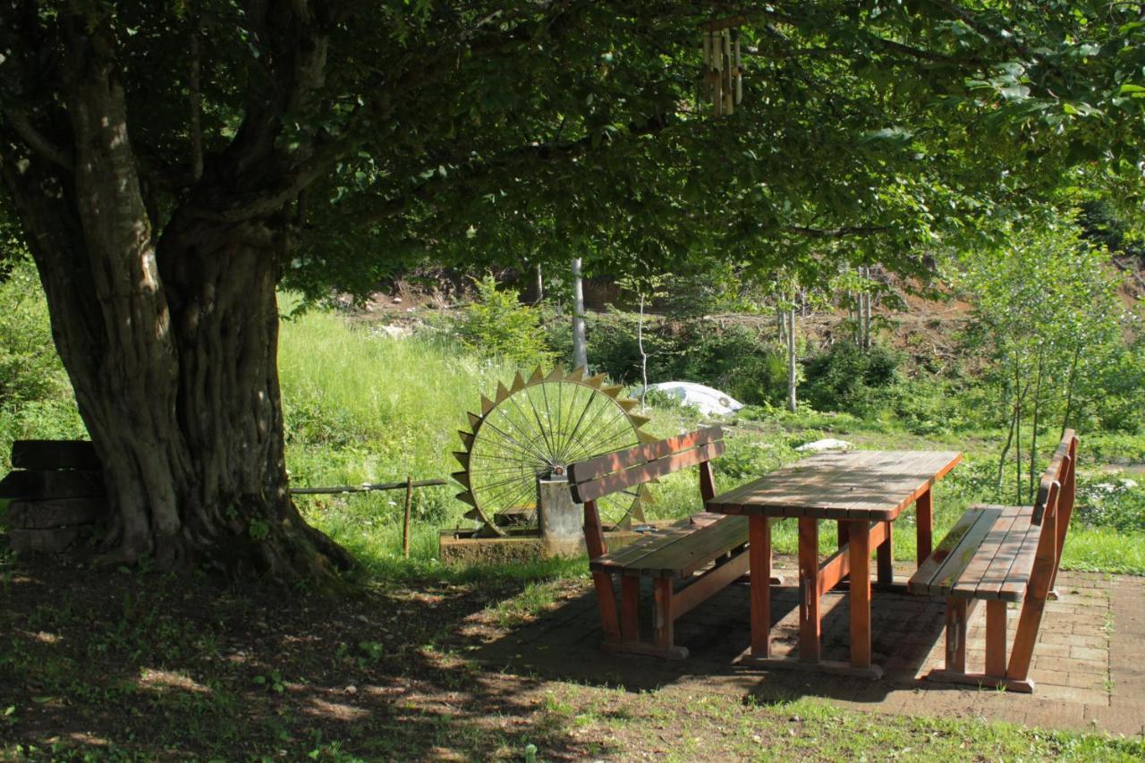 Bosco Delle Rune ..Un Angolo Di Paradiso Platischis 外观 照片