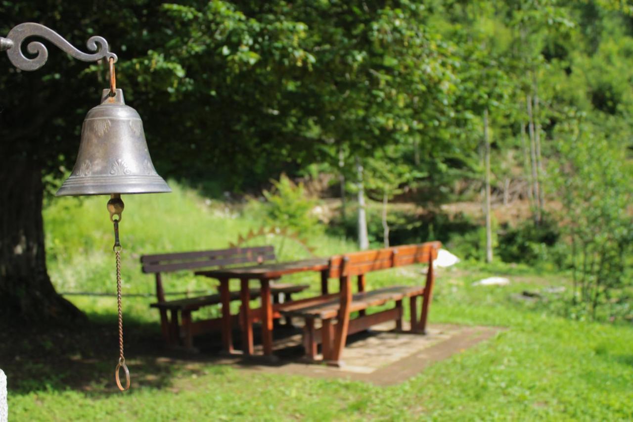 Bosco Delle Rune ..Un Angolo Di Paradiso Platischis 外观 照片