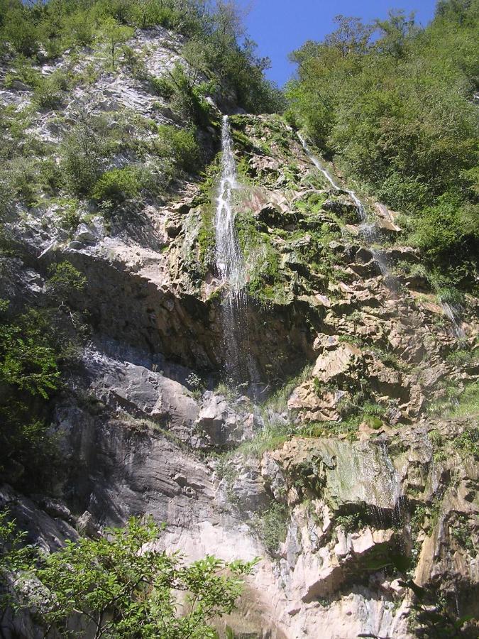 Bosco Delle Rune ..Un Angolo Di Paradiso Platischis 外观 照片