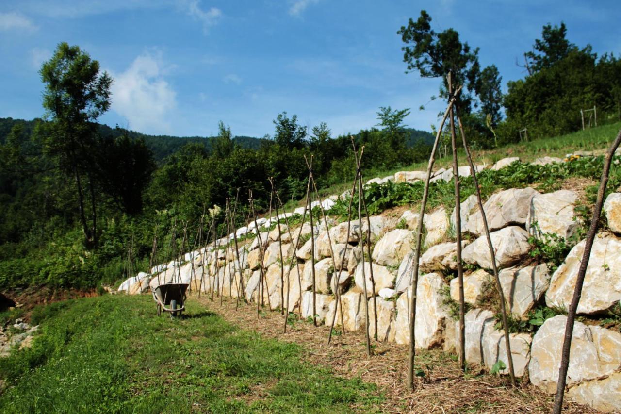 Bosco Delle Rune ..Un Angolo Di Paradiso Platischis 外观 照片