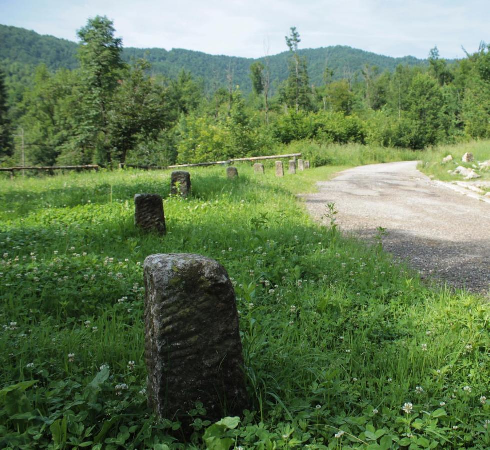 Bosco Delle Rune ..Un Angolo Di Paradiso Platischis 外观 照片