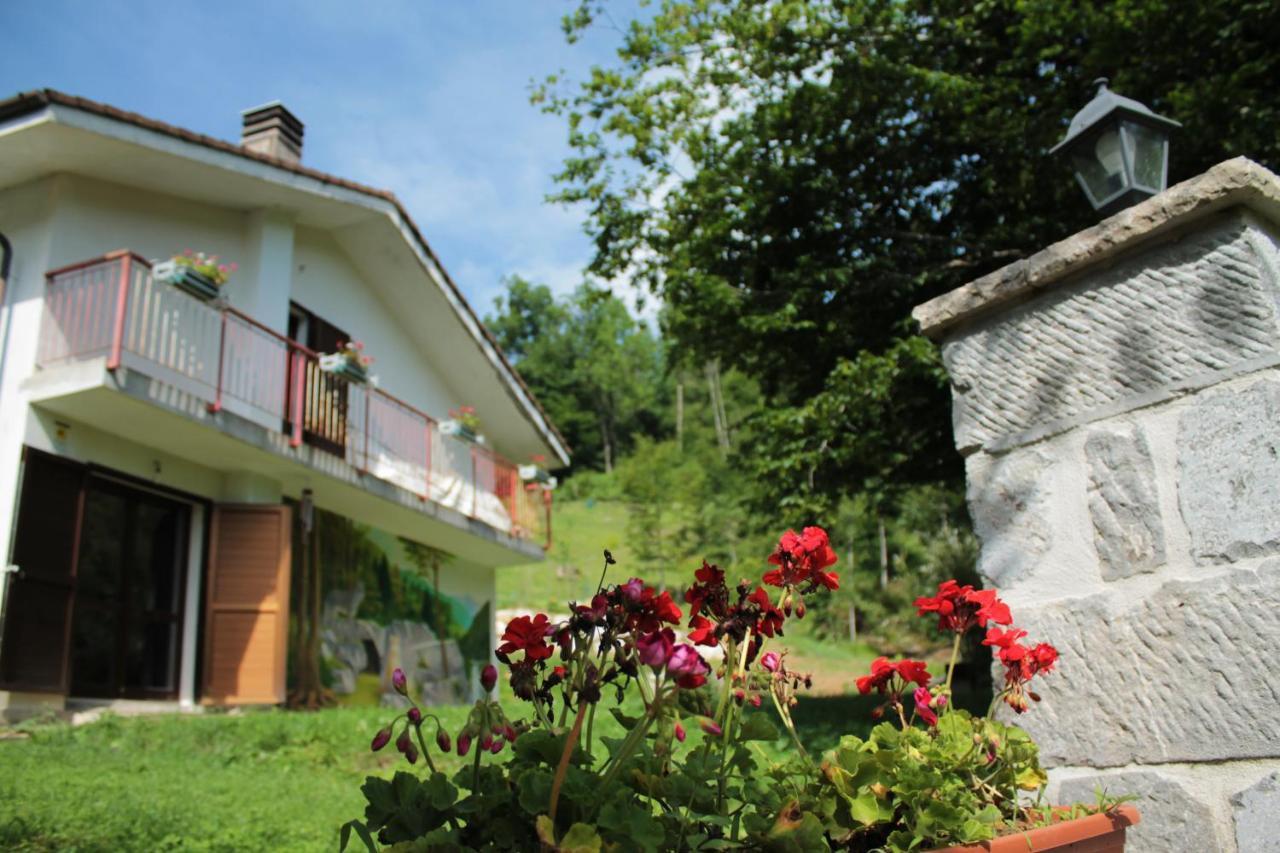 Bosco Delle Rune ..Un Angolo Di Paradiso Platischis 外观 照片
