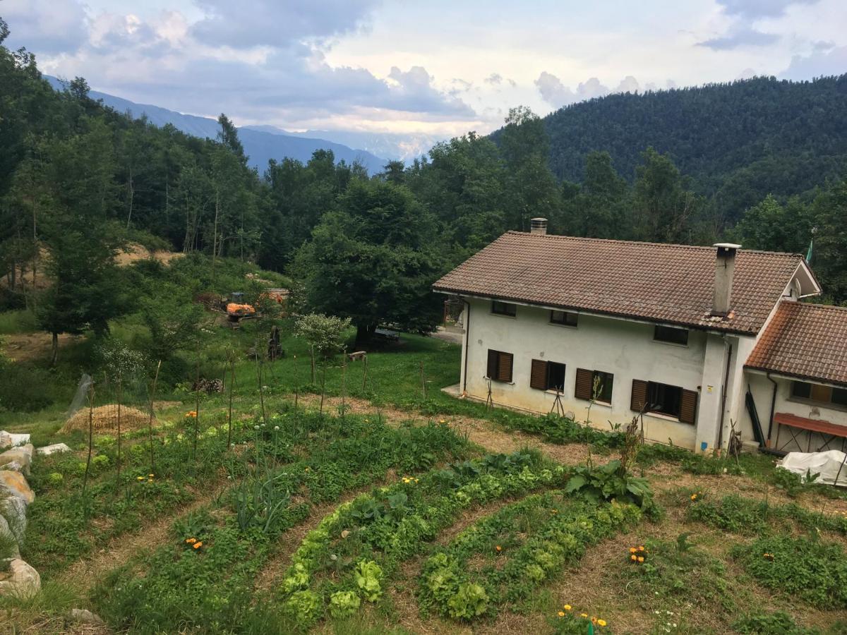 Bosco Delle Rune ..Un Angolo Di Paradiso Platischis 外观 照片