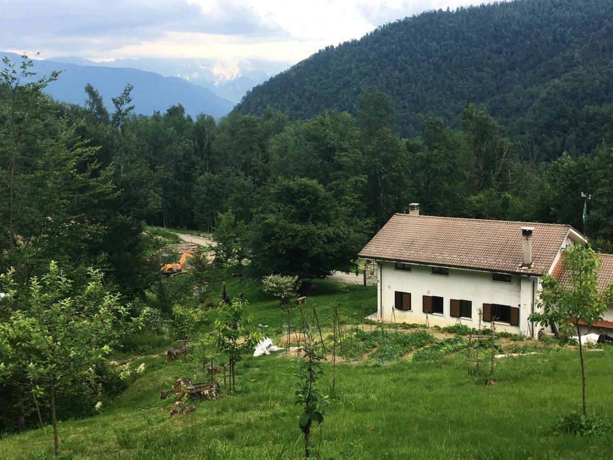 Bosco Delle Rune ..Un Angolo Di Paradiso Platischis 外观 照片