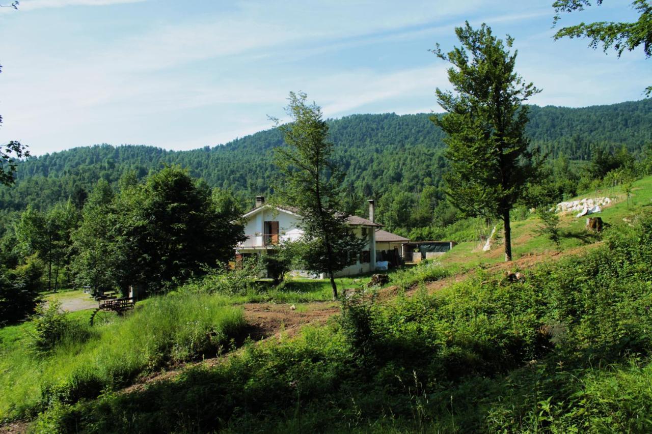 Bosco Delle Rune ..Un Angolo Di Paradiso Platischis 外观 照片