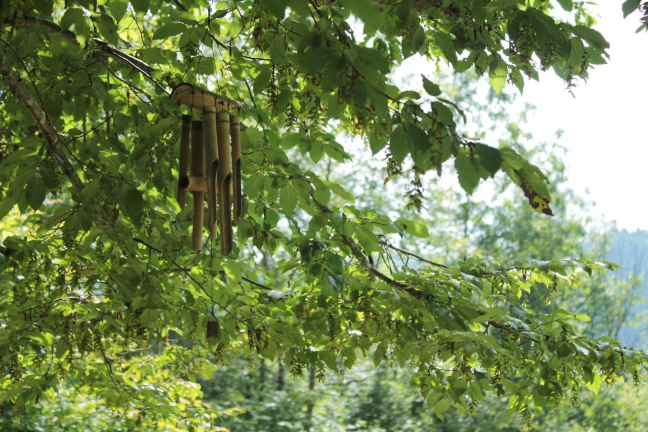 Bosco Delle Rune ..Un Angolo Di Paradiso Platischis 外观 照片